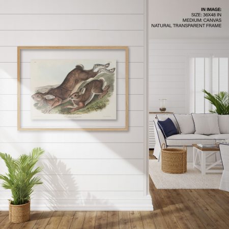 Hampton,Style,Living,Room,Interior,With,Frame,Mockup,,3d,Render
