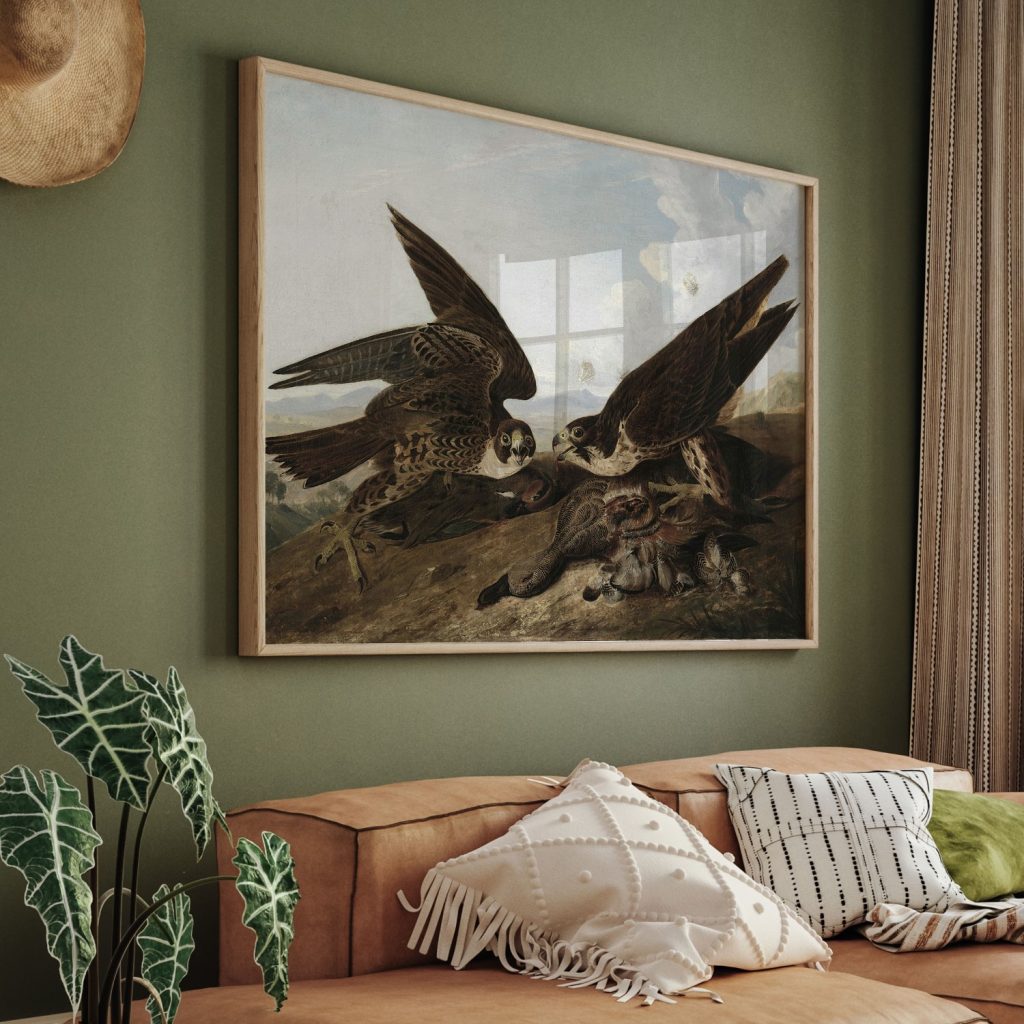 Peregrine Falcons (Duck Hawks) by John James Audubon (c. 1827)