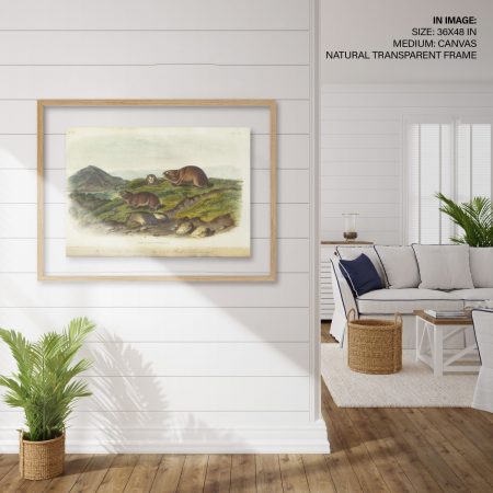 Hampton,Style,Living,Room,Interior,With,Frame,Mockup,,3d,Render
