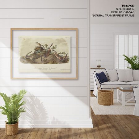 Hampton,Style,Living,Room,Interior,With,Frame,Mockup,,3d,Render