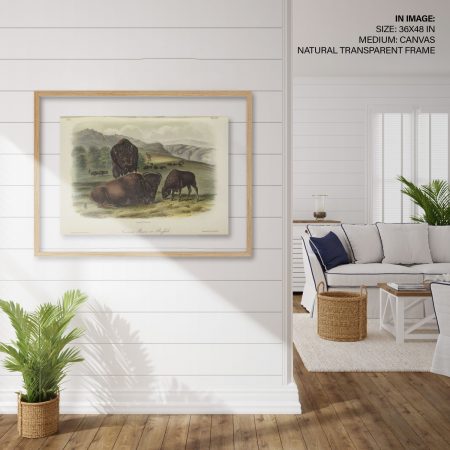 Hampton,Style,Living,Room,Interior,With,Frame,Mockup,,3d,Render