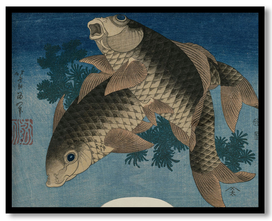 Carp Swimming by Water Weeds by Katsushika Hokusai (1831)