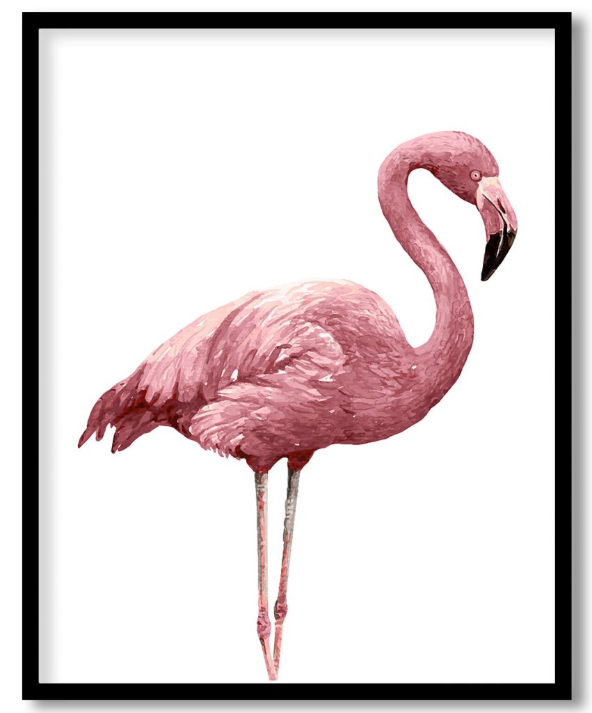 Pink flamingo
