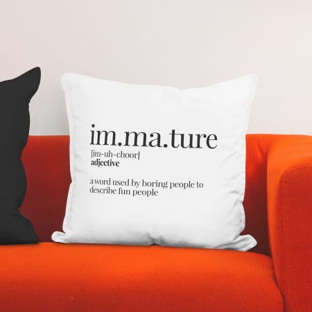 Red sofa with pillow and light lamp