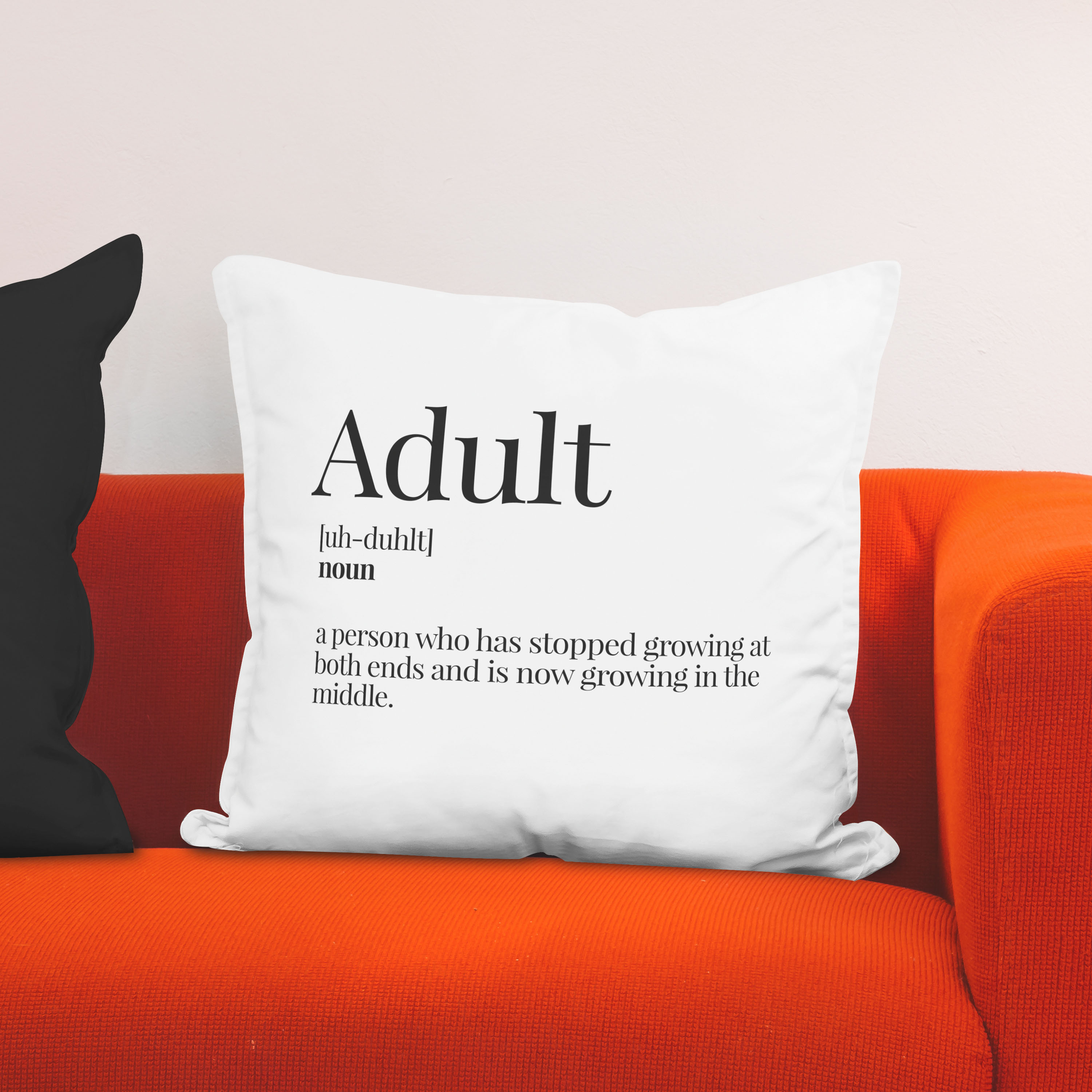 Red sofa with pillow and light lamp