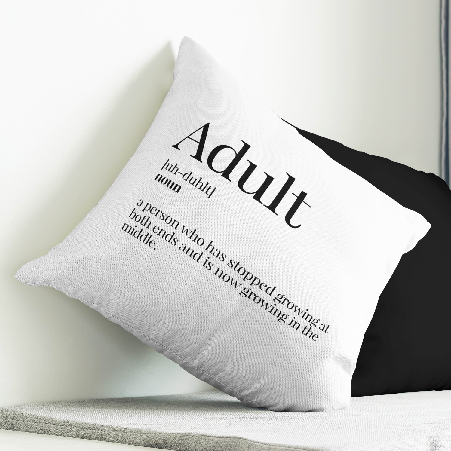 Red sofa with pillow and light lamp