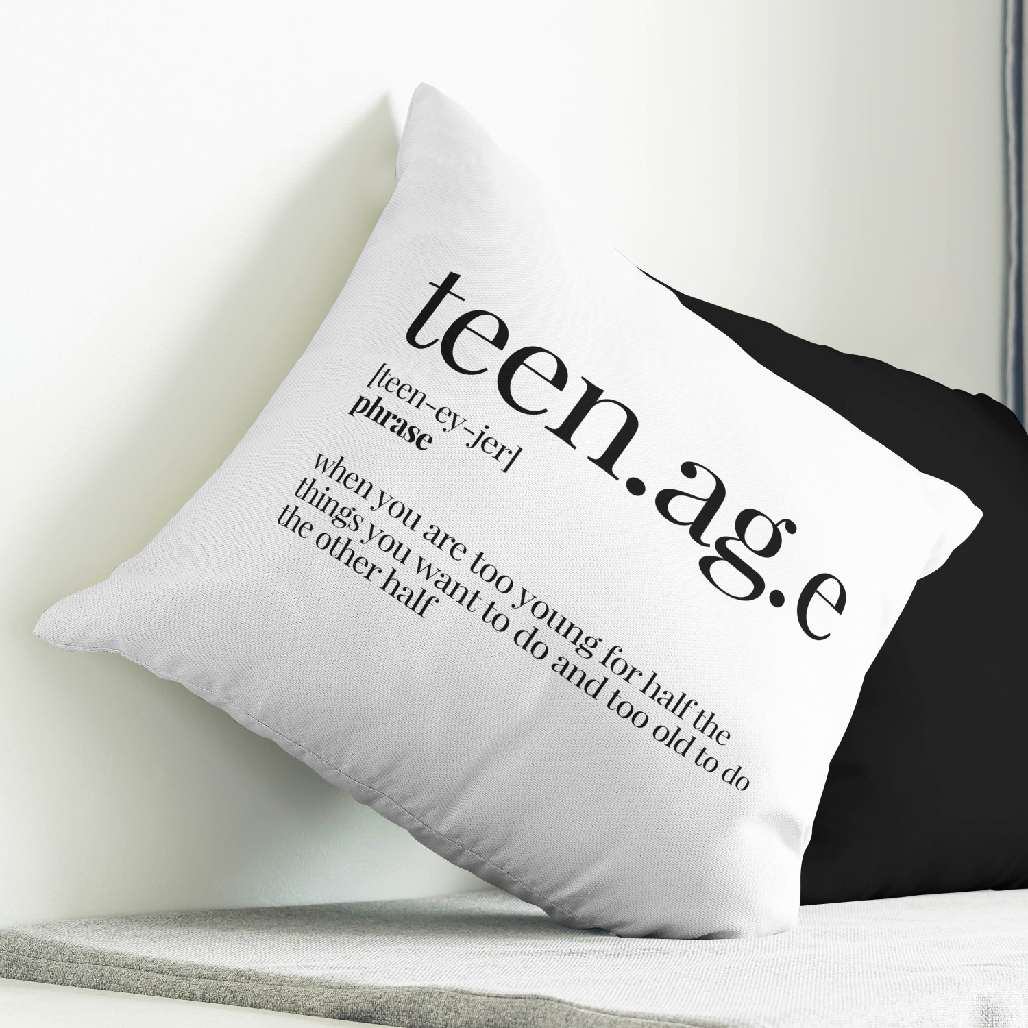 Red sofa with pillow and light lamp