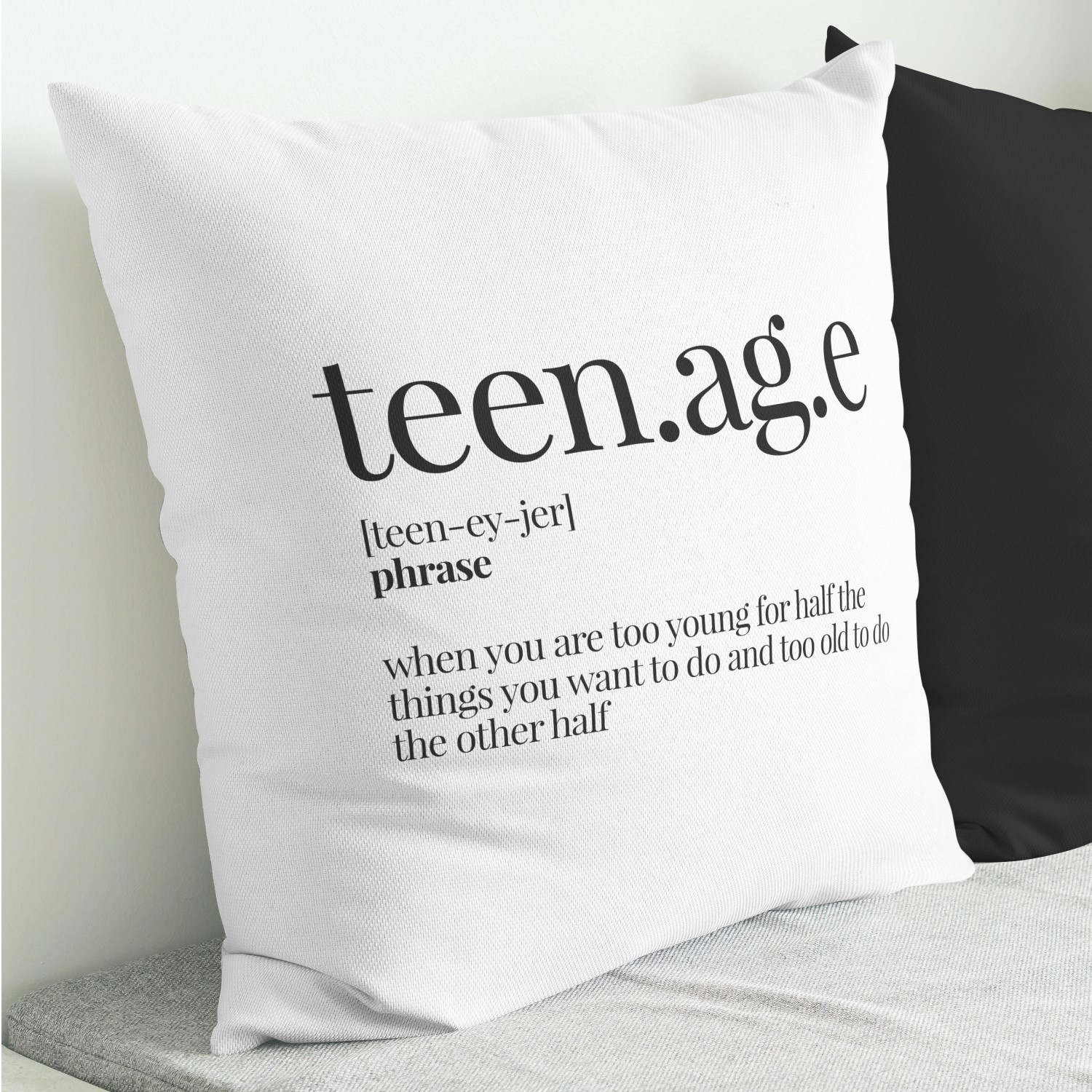 Red sofa with pillow and light lamp