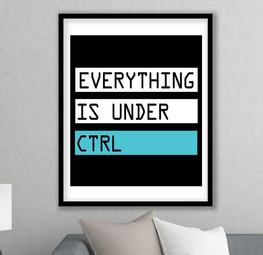 Everything is under CTRL - Wall Art Decor, Framed Painting, Home Decor ...
