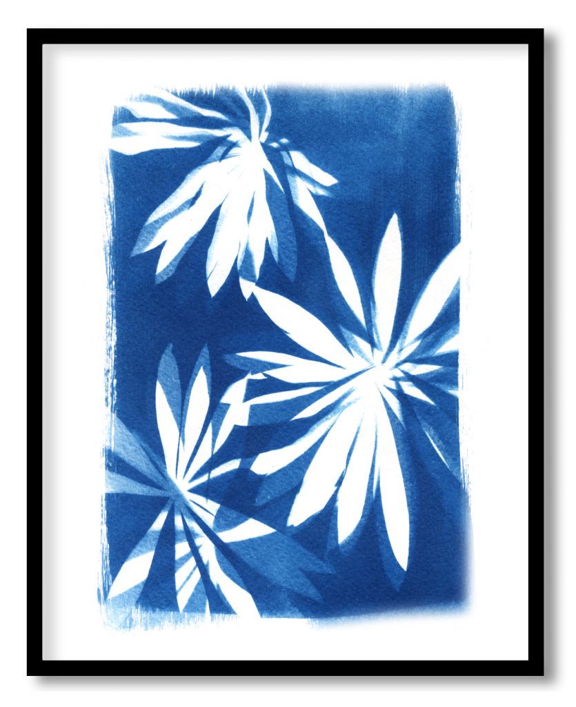 Indigo flower leaf