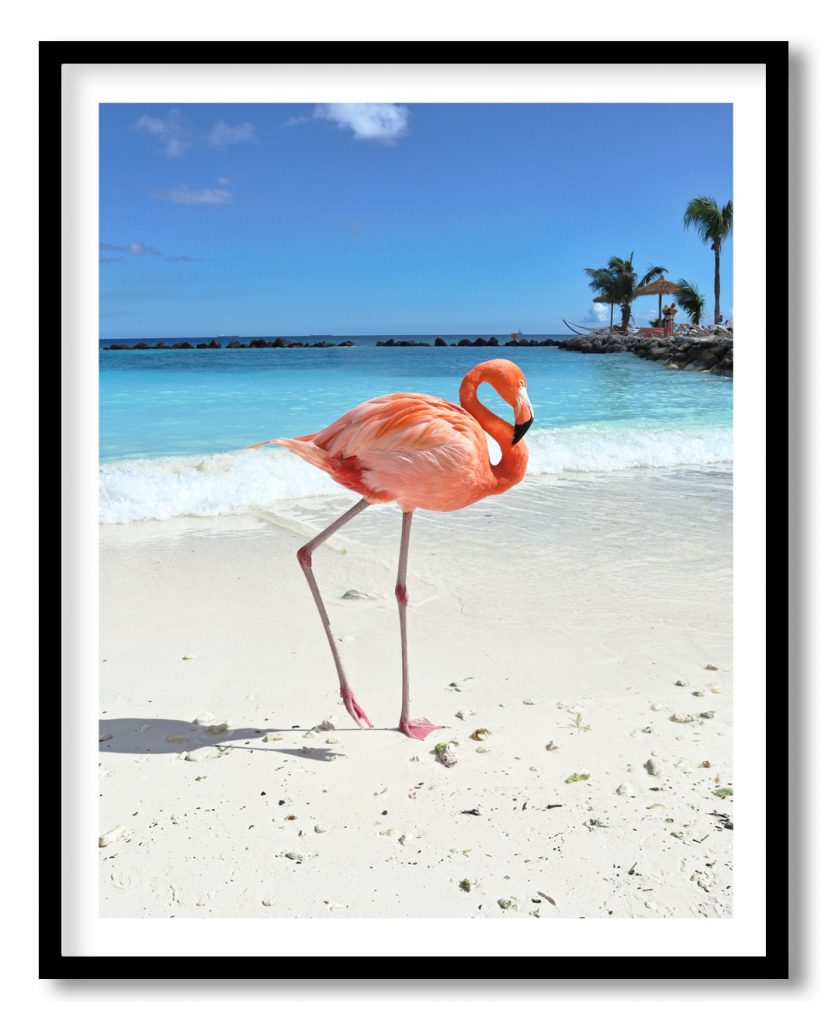 Flamingo on blue beach