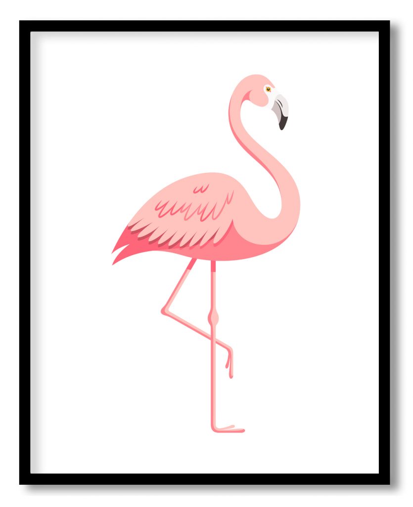 Beautiful pink flamingo