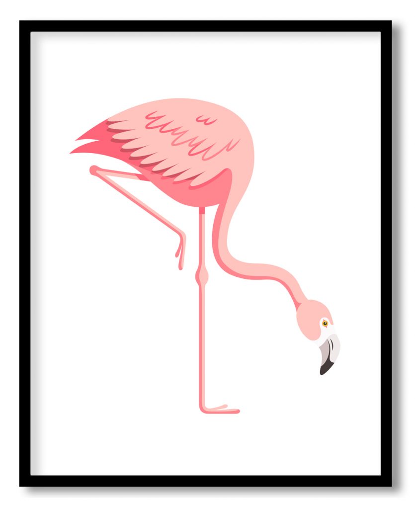 Pink glaring scarlet flamingo