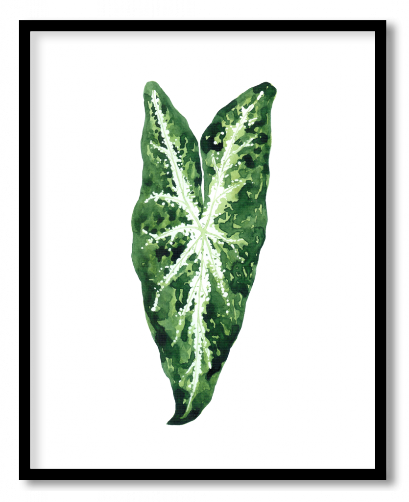 Tropical jungle leaf #10