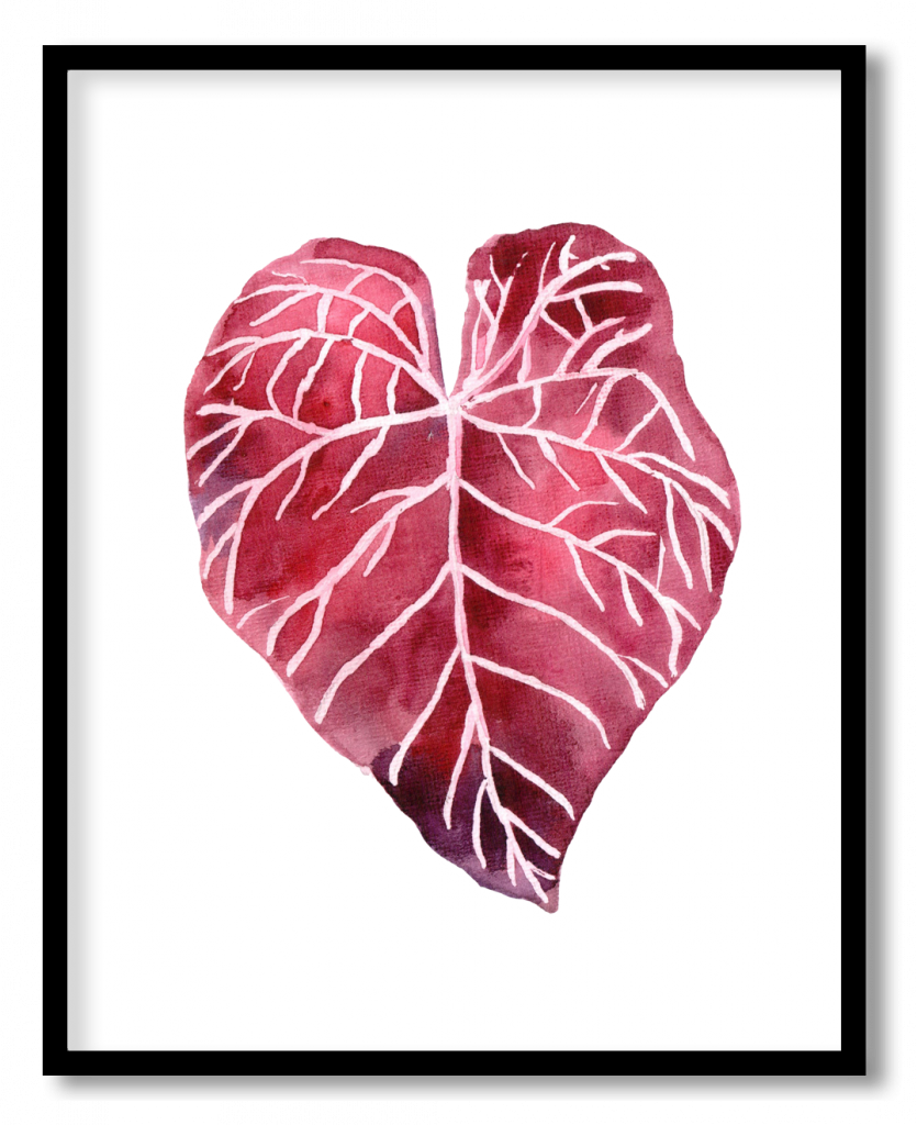 Burgundy red tropical jungle leaf #22