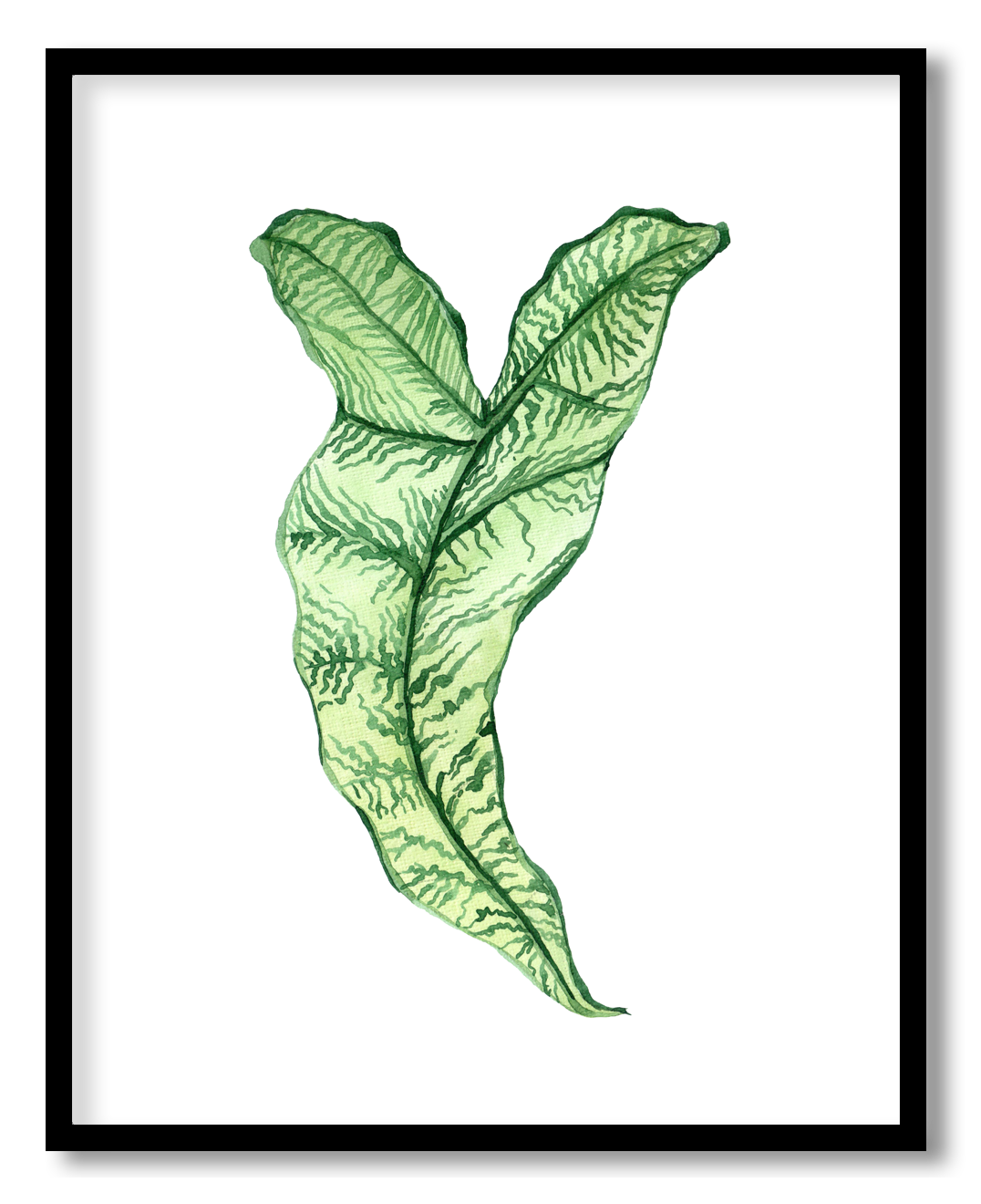 NM-NRMN-01-013.png