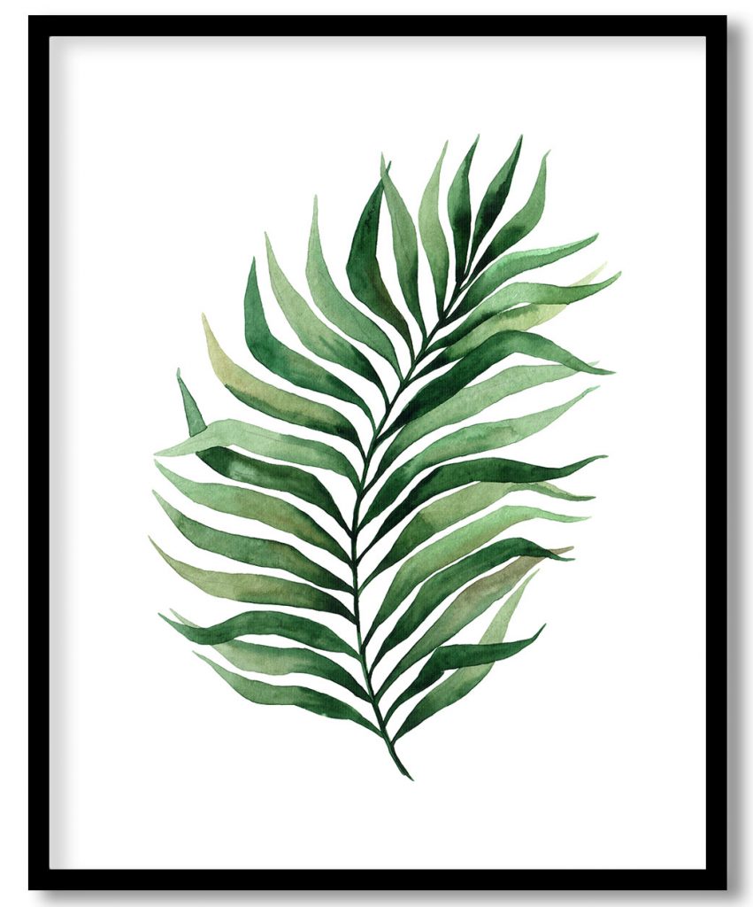 Jungle tropical leaf botanical #13