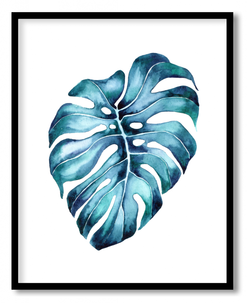 Turquoise monstera leaf #20