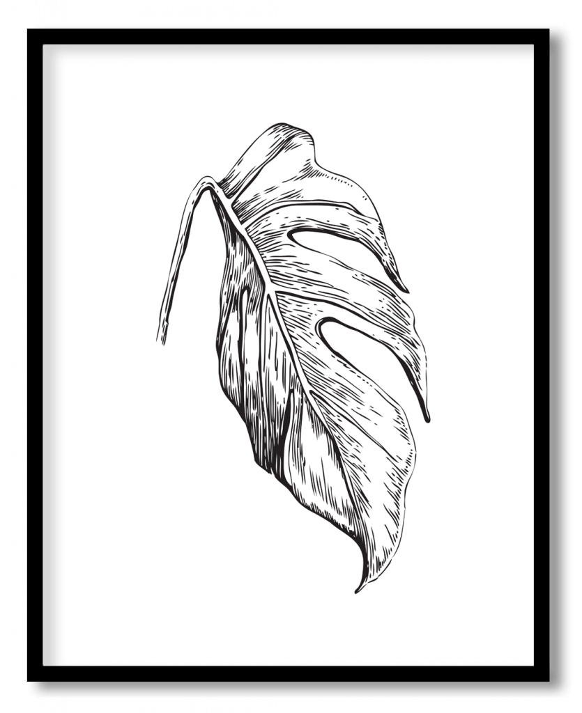 Black line drawing tropical jungle leaf #10