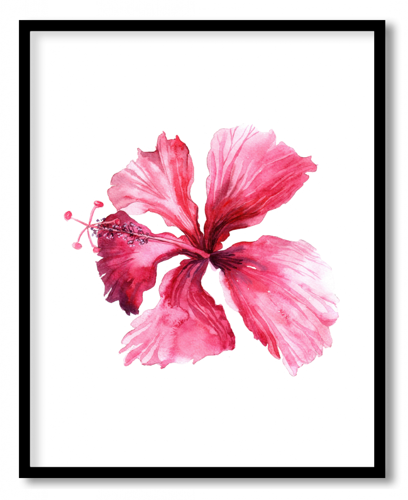 Blush pink flower element #11