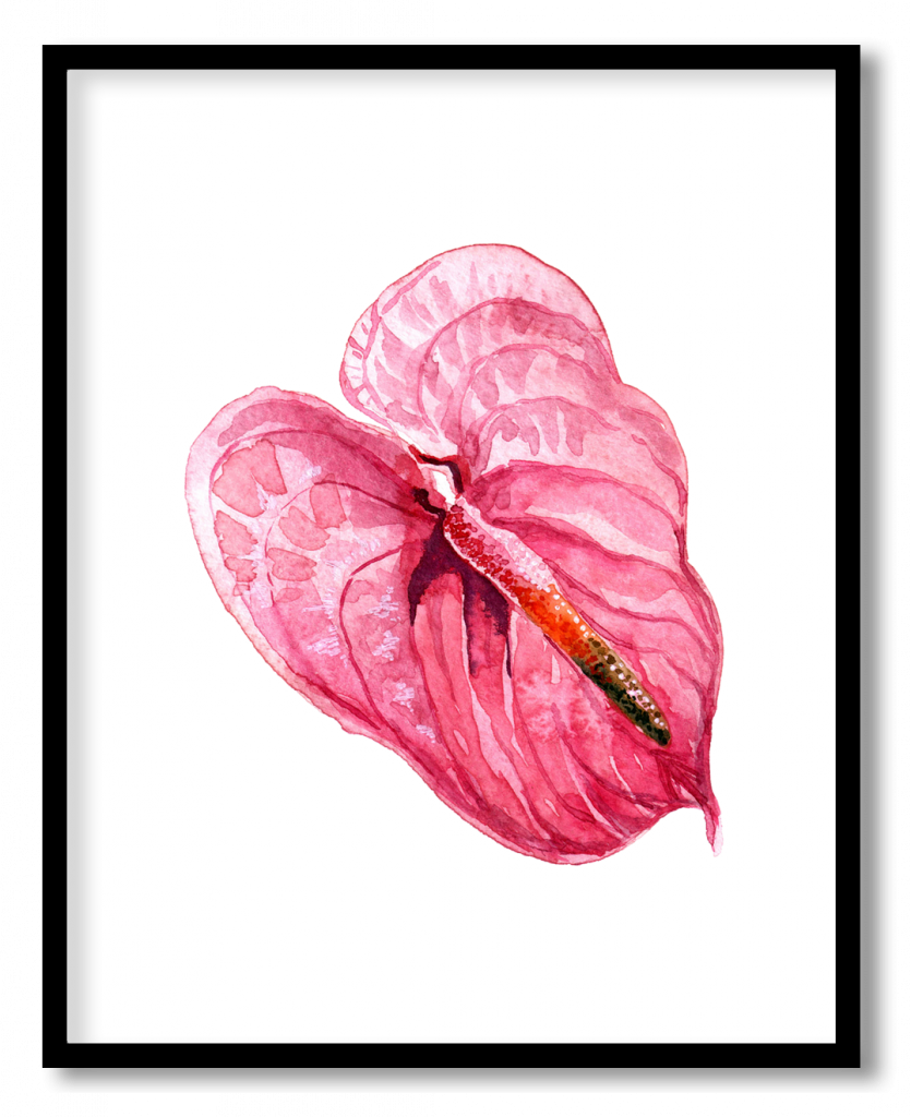 Blush pink natural tropical leaf #51