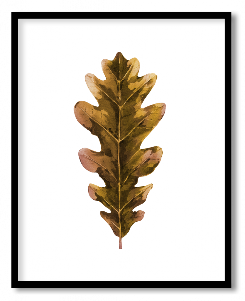 Watercolor dried autumn leaf #10