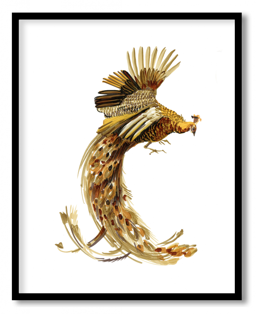 Gold brown beautiful peacock