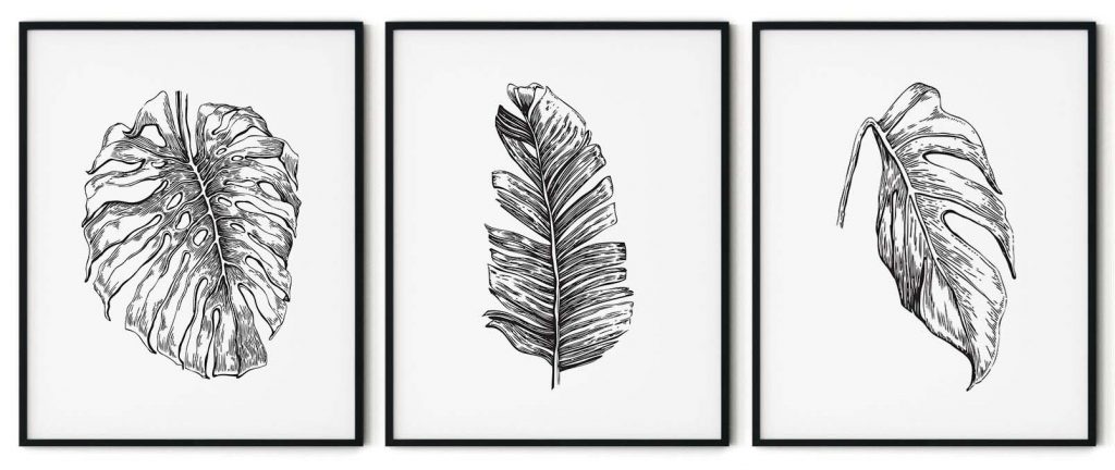 Set of 3 black line drawing leaves