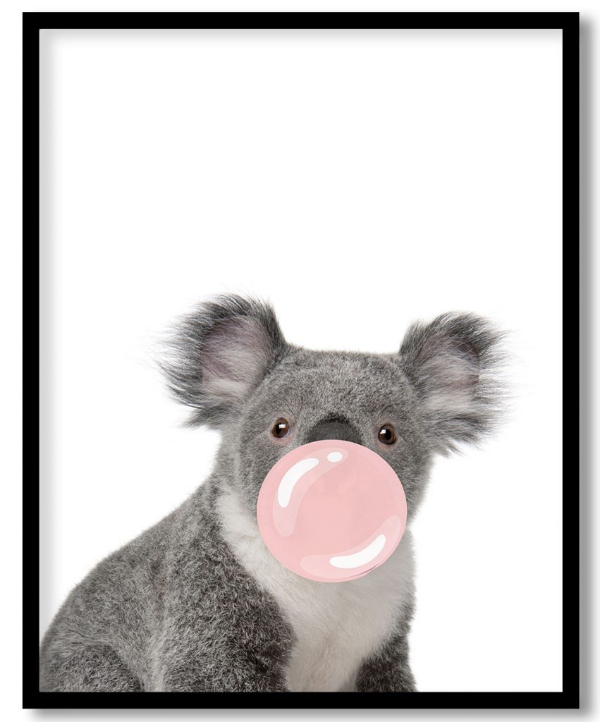 koala with gum