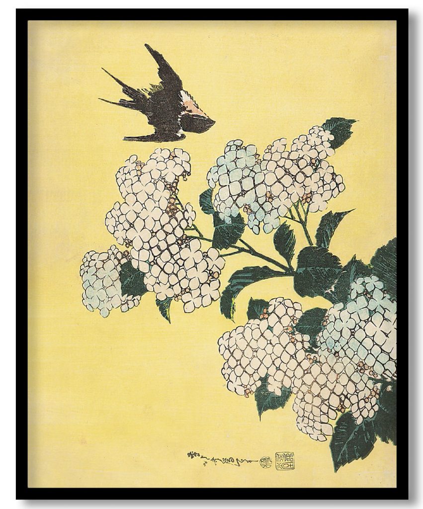 Hydrangea and swallow by Katsushika Hokusai (1833 34)