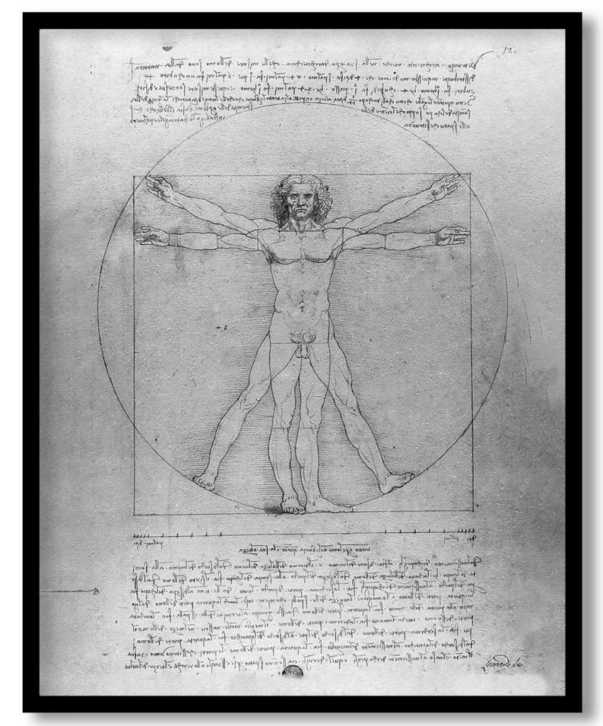 The proportions of the human figure the vitruvian man by Leonardo da Vinci (1492)