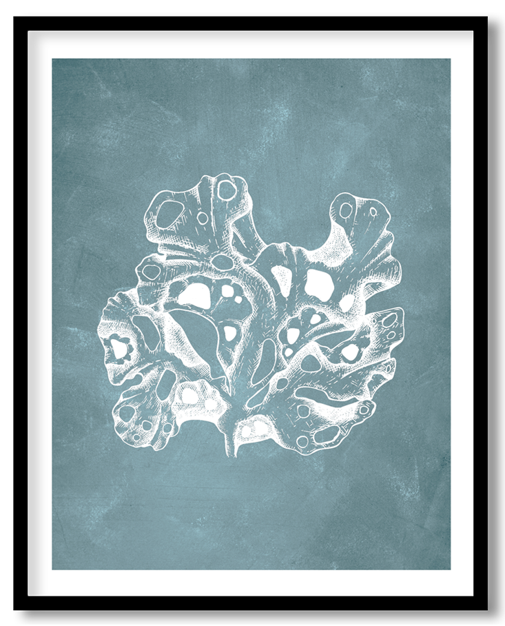 CRL-BLU-01-001.png