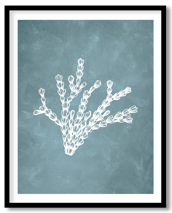 CRL-BLU-01-002.png