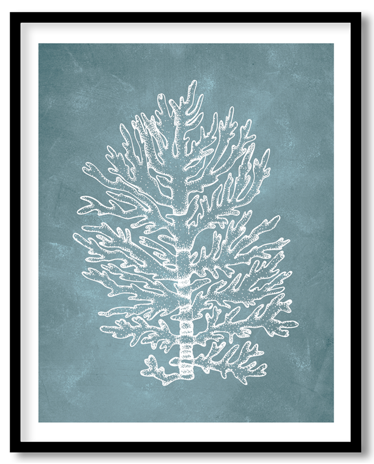 Blue hand drawn seaweed #14