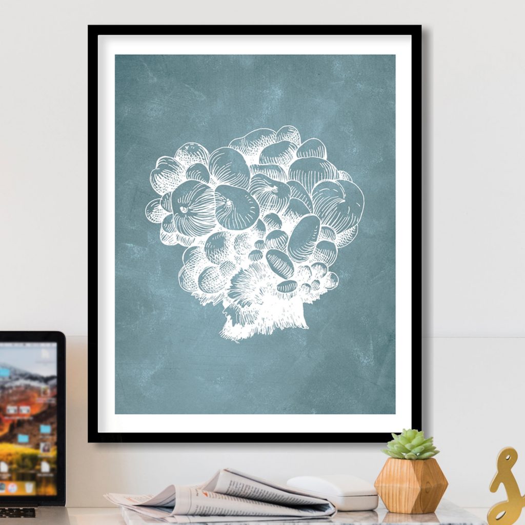 Botanical White Mushroom Cluster – Wall Decor