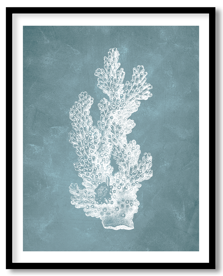 CRL-BLU-01-023.png