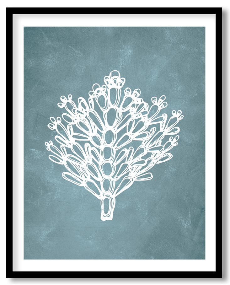 CRL-BLU-01-029.png
