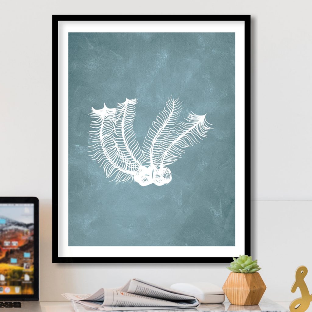 Botanical White Sea Feather – Home Decor