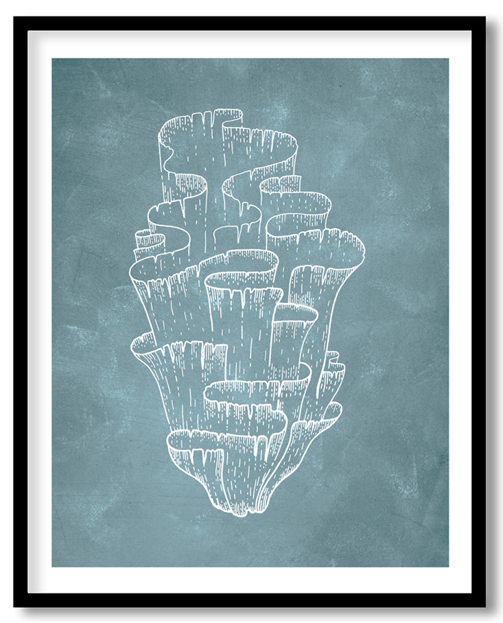 CRL-BLU-01-044.png