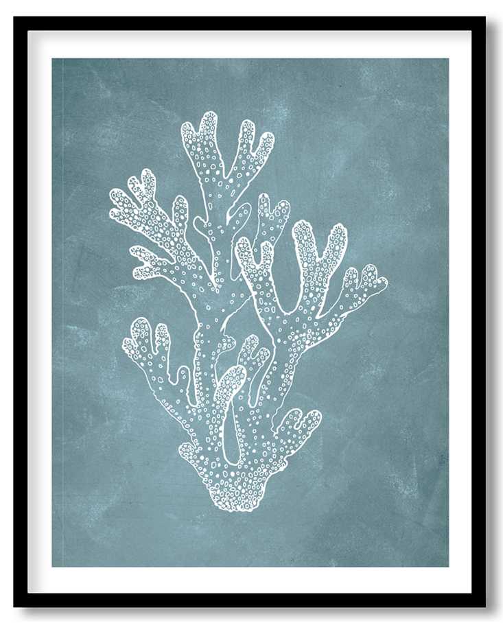 CRL-BLU-01-047.png