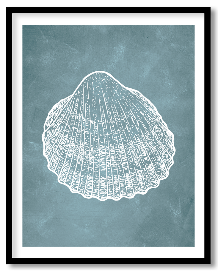 Blue hand drawn seashell #16