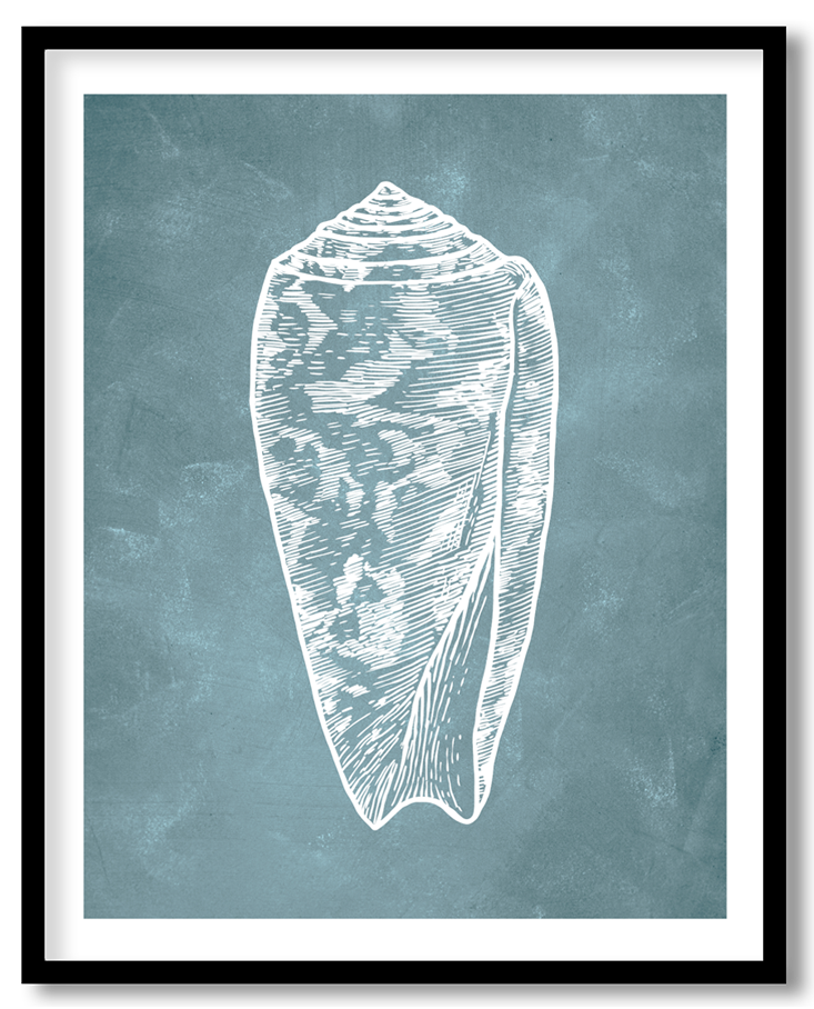 Blue hand drawn seashell #18