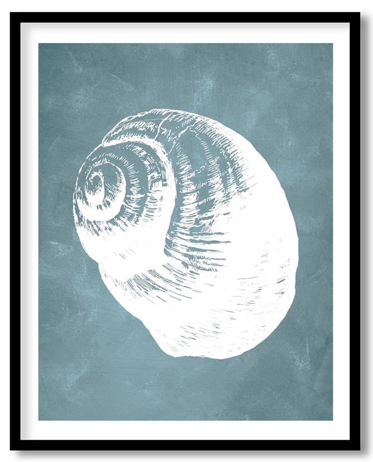 Blue hand drawn seashell #25