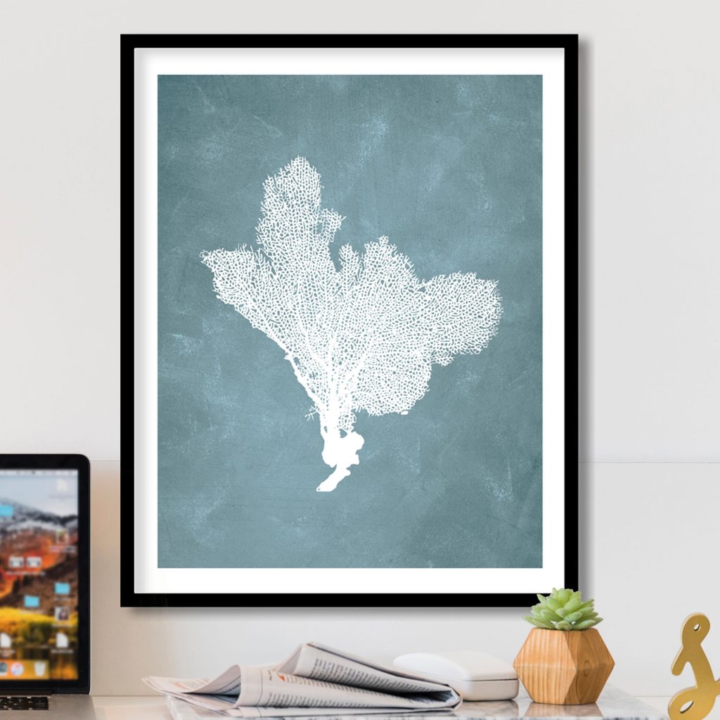 Nature White Sea Fan Coral Delicate – Wall Art