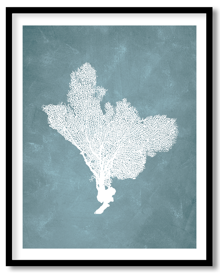 CRL-BLU-01-066.png