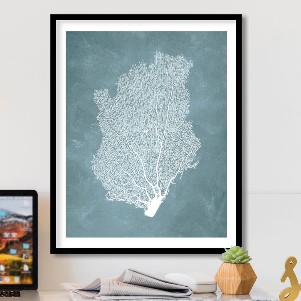 Nature White Sea Fan Blue-green – Wall Painting