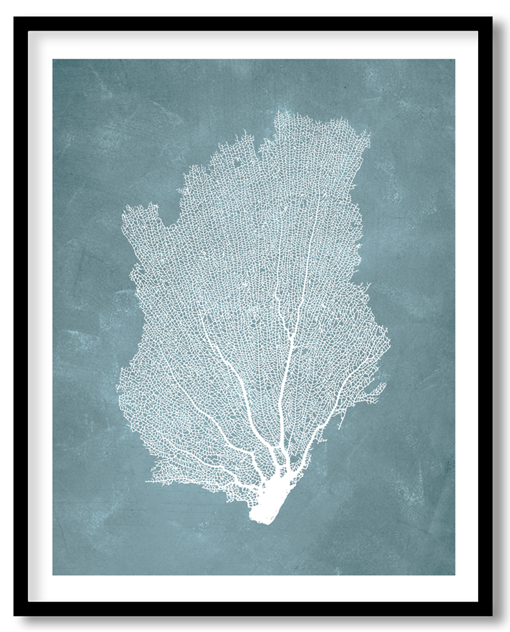 CRL-BLU-01-067.png