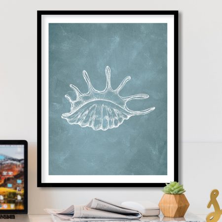 Nature White Spiky Seashell – Wall Art