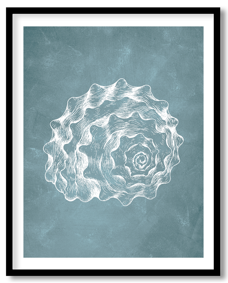 CRL-BLU-01-079.png