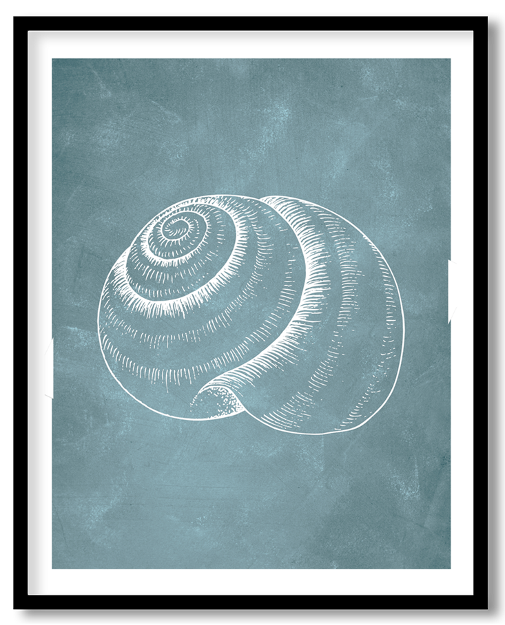CRL-BLU-01-080.png